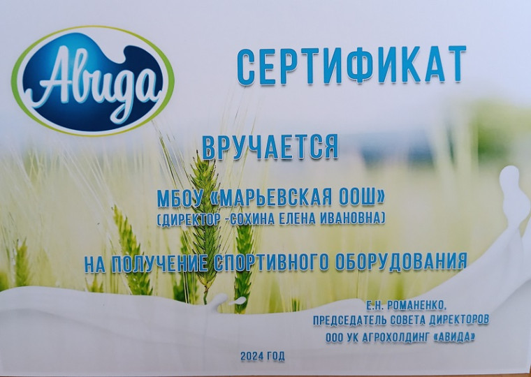 Новый инвентарь.